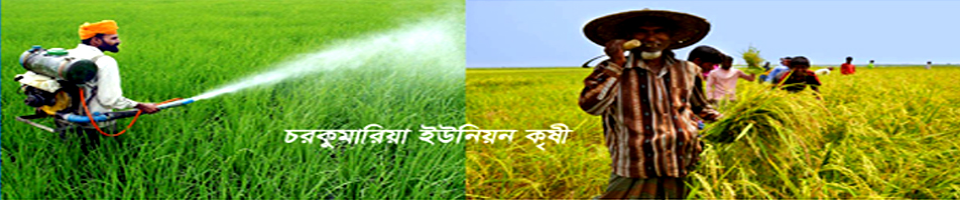 কৃষি