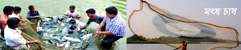 চরকুমারিয়া ইউনিয়নের মৎষ চাষ