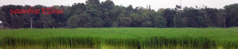 চরমাধবদিয়া ইউনিয়ন