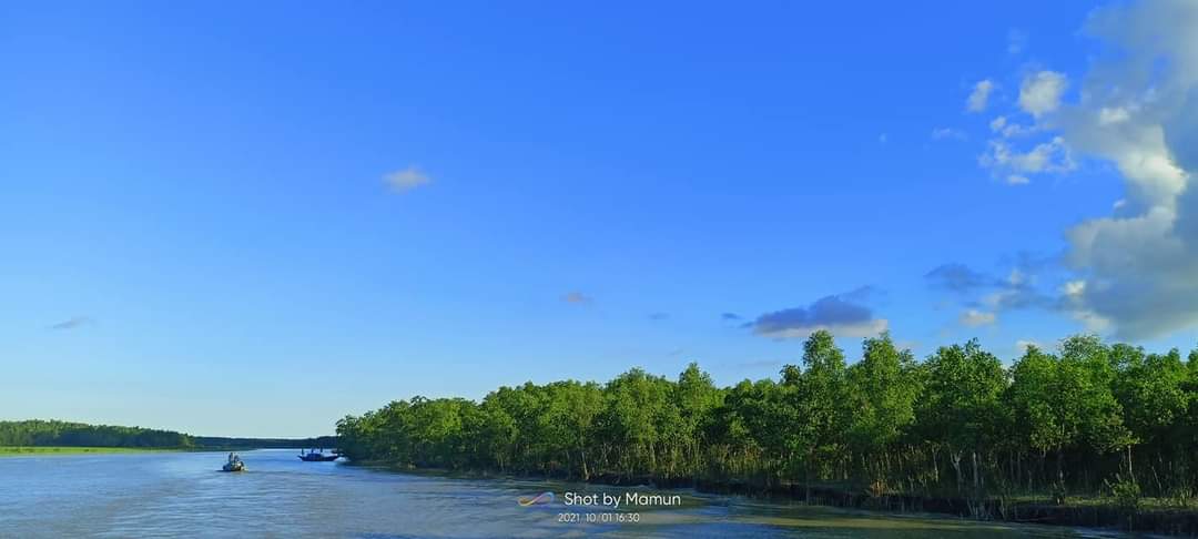 সোনারচর