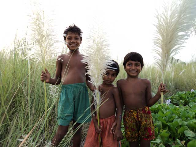 বিবিধ