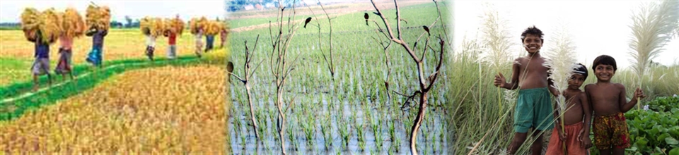 চর নাসিপুর ইউনিয়নের জনজীবন