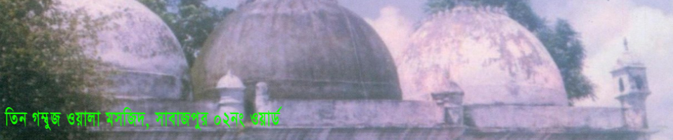 তিন গম্বুজ ওয়ালা মসজিদ
