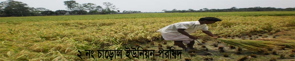 আপনাকে স্বাগতম