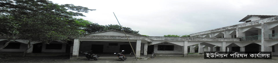 ৫নং চরপাতা ইউনিয়ন পরিষদ