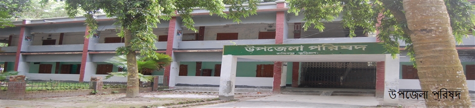 উপজেলা পরিষদ