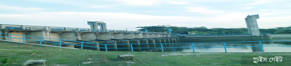 স্ল্যুইজ গেইট