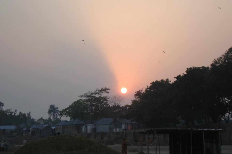 ফটো গ্যালারী 