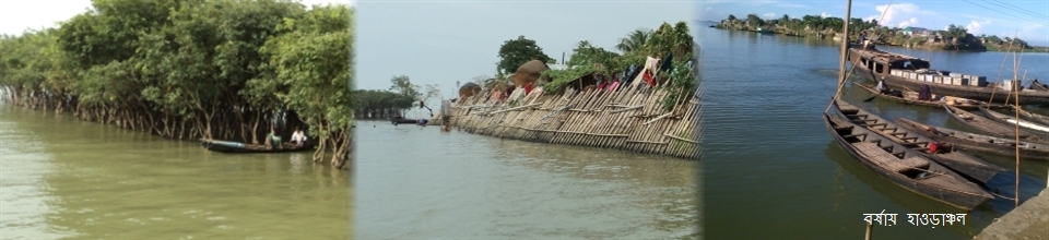 বর্ষায় হাওড়াঞ্চল