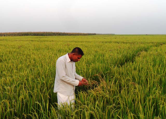 কৃষি ও প্রানী সম্পদ