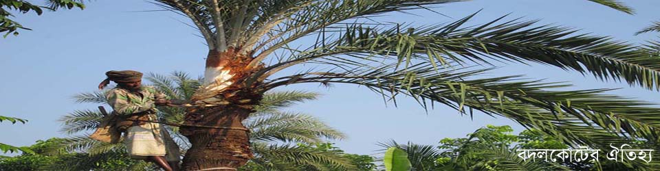 চাটখিলের গ্রাম