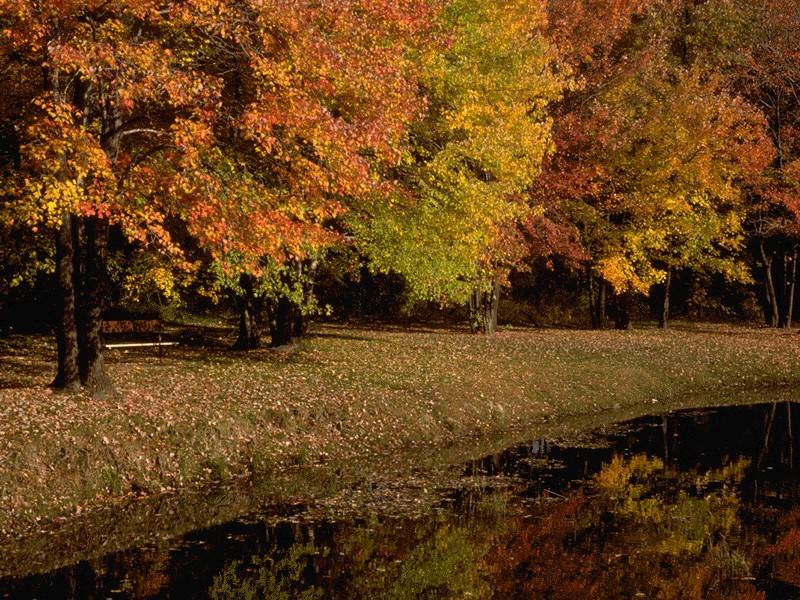 ফটোগ্যালারী