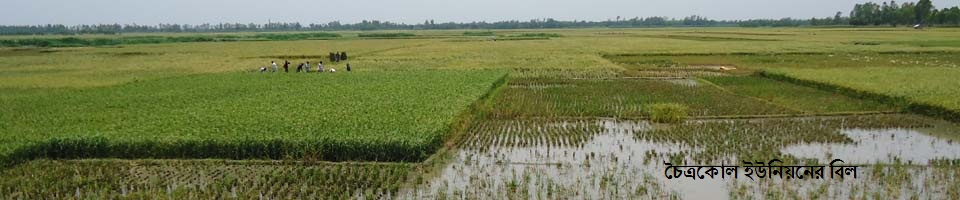 ০১ নং চৈএকোল বিল