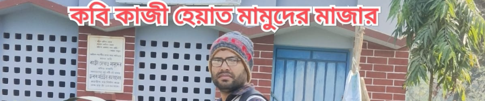কবি হায়াত মামুদের মাজার শরীফ