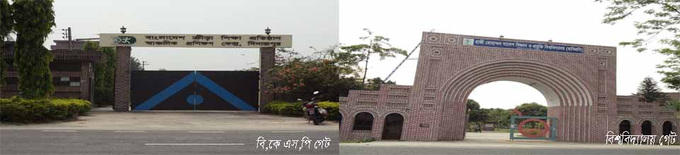 ১নং চেহেলগাজী ইউনিয়ন পরিষদ।