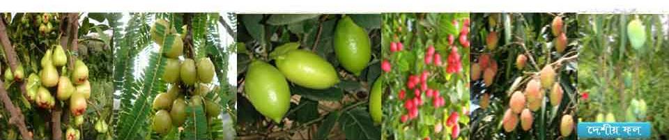 চেংমারী ইউনিয়ন