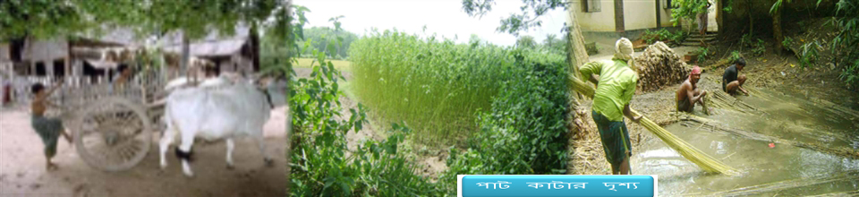 পাট কাটার দৃশ্য