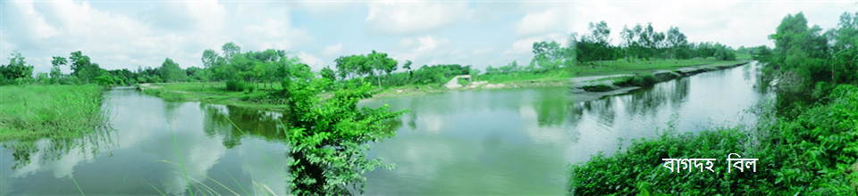 বাগদহ বিল