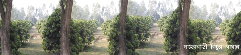 চেংঠী ইউনিয়ন পরিসদ