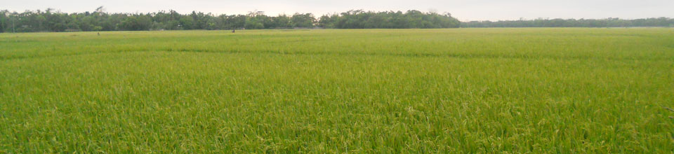 ছৈলা আফজলাবাদ ইউনিয়ন