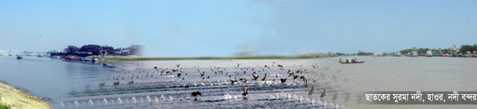 ছাতকের হাওর ও সুরমা নদী