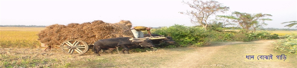 ছাতিয়ান ইউ, পি