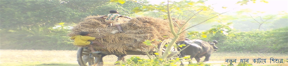 ছাতিয়ান ইউনিয়ন