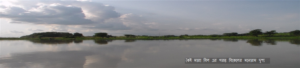 ছাতিয়ান ইউনিয়ন পরিষদ