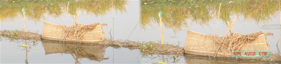 ছাতিয়ান ইউনিয়ন পরিষদ
