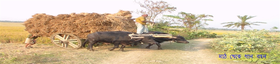 ছাতিয়ান ইউনিয়ন পরিষদ