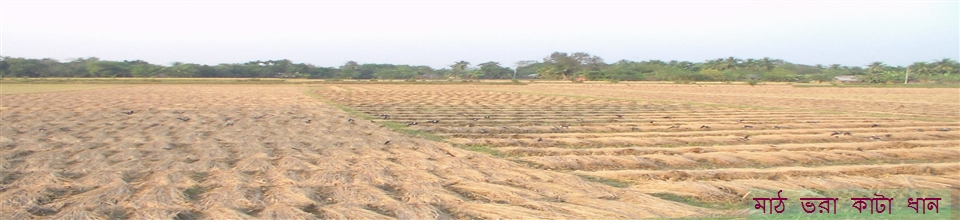 ফসলের মাঠ