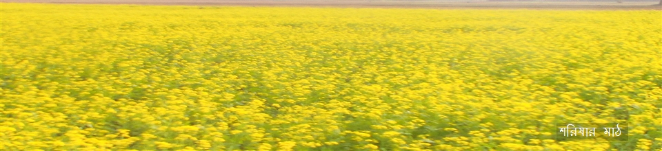 ছাতিয়ান ইউনিয়ন পরিষদ