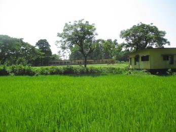 ইউনিয়ন ভূমি
