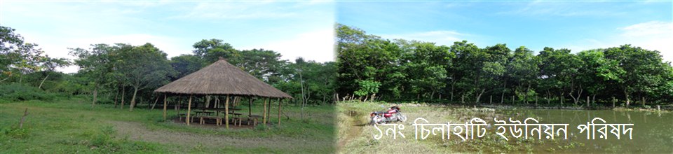 ব্যানার