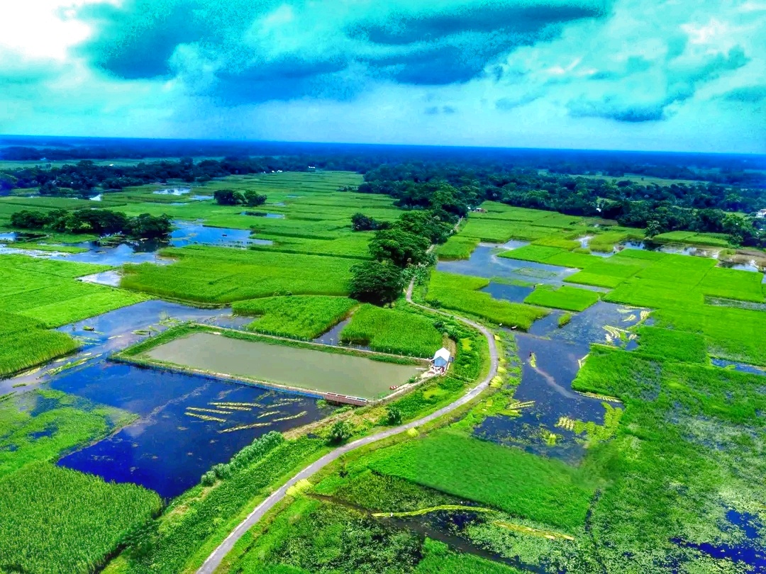 হাওলা ছিলারচর