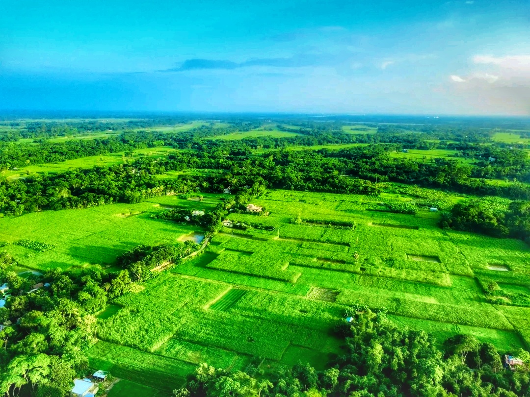 পশ্চিম ছিলারচর