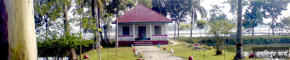 হলদিপুর ফার্ম