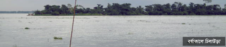 বর্ষাকালে চিলাউড়া