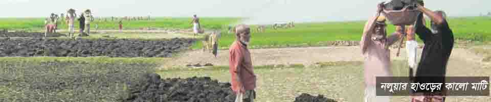 নলুয়ার হাওড়ের কালো মাঠি