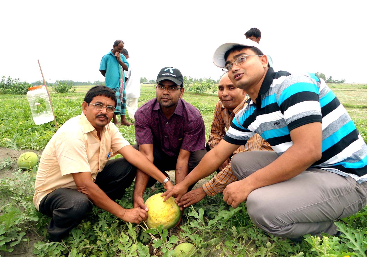 তরমুজ দেখে আত্মহারা উপজেলা নির্বাহী অফিসার, কৃষি অফিসার ও ইউপি চেয়ারম্যান