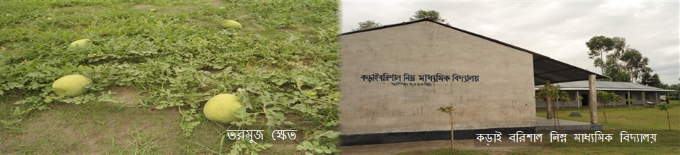 চিলমারী ইউনিয়ন