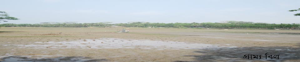 চিংড়াখালী ইউনিয়ন পরিষদ