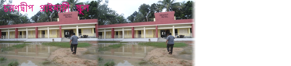 চরণদ্বীপ প্রাইমারী স্কুল