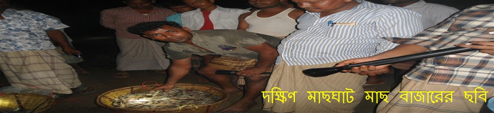 ব্যানার
