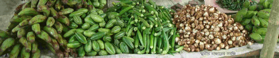 চিথলিয়া ইউনিয়নের আবাদ কৃত সাক সবজি