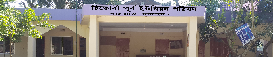 কমপ্লেক্স ভবন