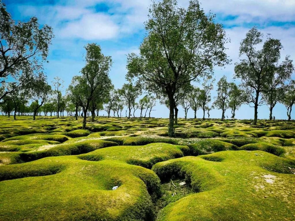 টানেল