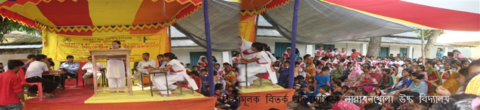 নারায়নখোলা উচ্চ বিদ্যালয়