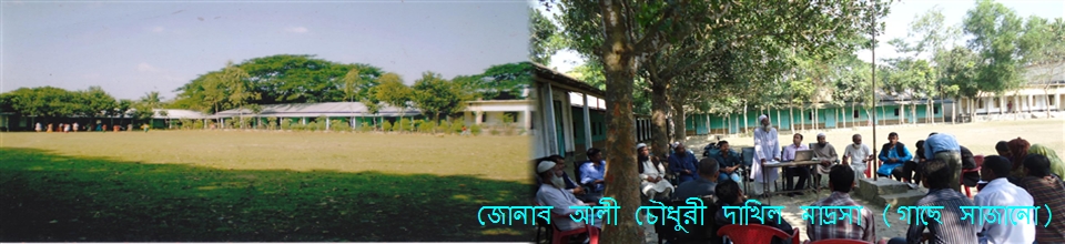 জোনাব আলী চৌধুরী দাখিল মাদ্রাসা