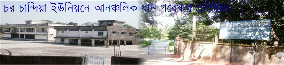 আঞ্চলিক ধান গবেষনা কেন্দ্র. চর চান্দিয়া